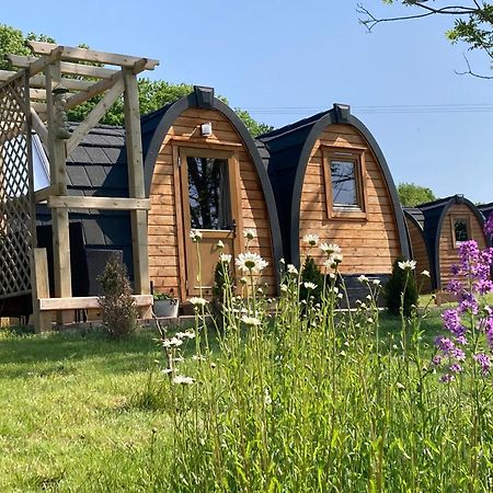 Rabbit Glamping Pod School House Farm Hotel Leighton  Ngoại thất bức ảnh